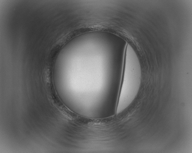 X0000075830689200609150846
