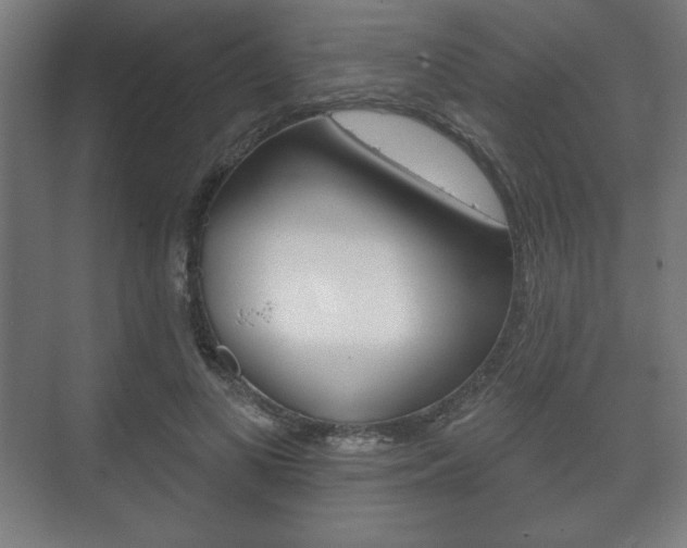 X0000075830693200609150846