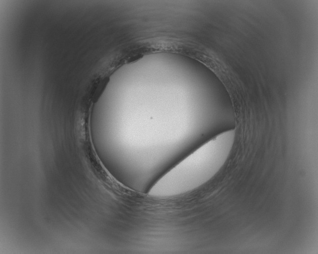 X0000075830696200609150846