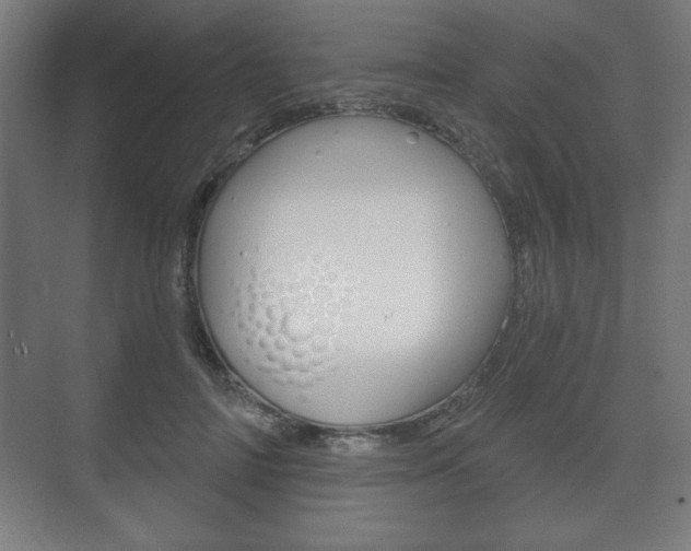 X0000075830698200609150846