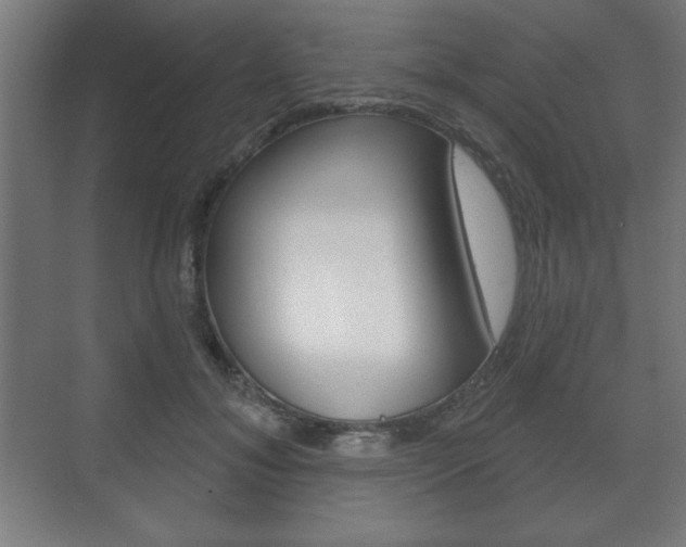 X0000075830700200609150846