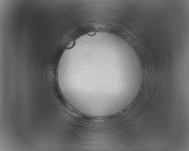 X0000075830702200609150846