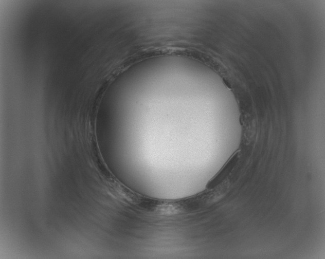 X0000075830704200609150846