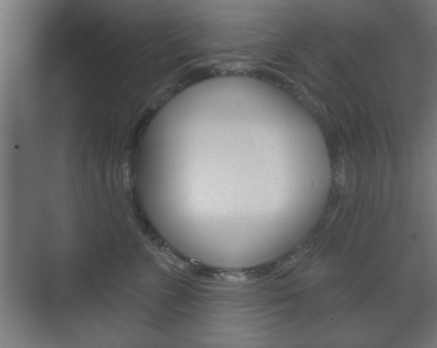 X0000075830715200609150846
