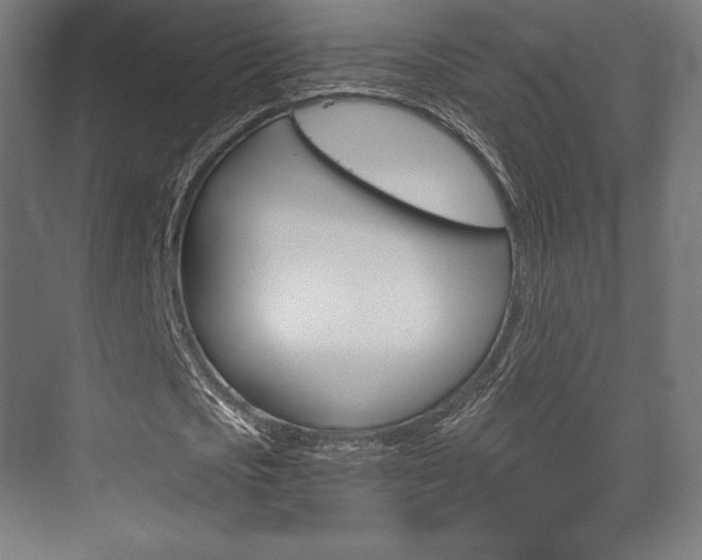 X0000075830721200609150845