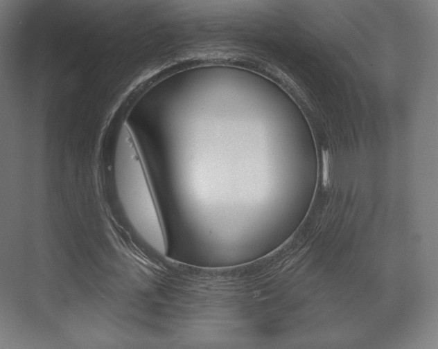 X0000075830723200609150845
