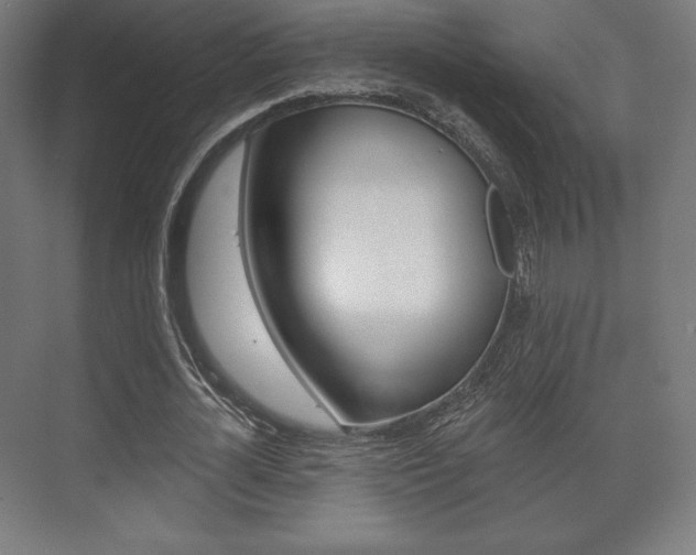 X0000075830724200609150845