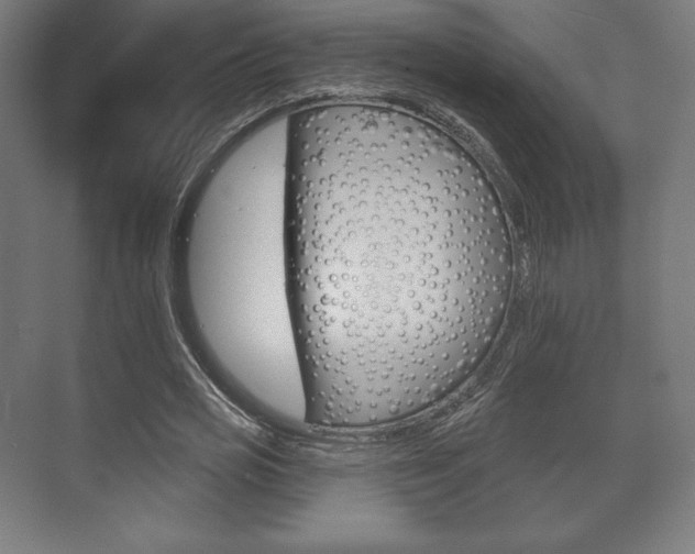 X0000075830725200609150845