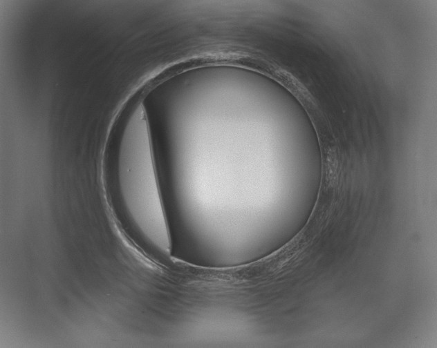 X0000075830726200609150845