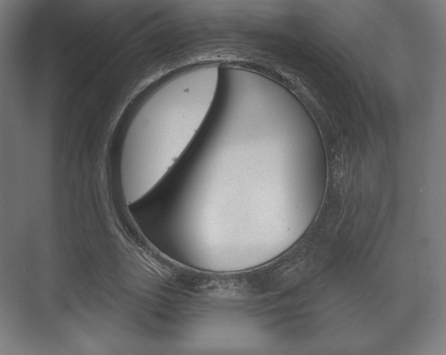 X0000075830727200609150845
