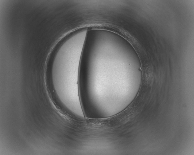X0000075830728200609150845