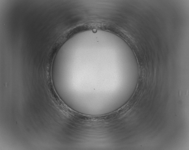 X0000075830737200609150845
