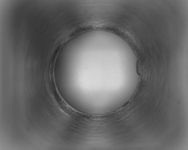 X0000075830740200609150845