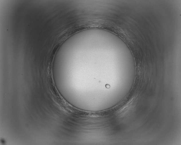 X0000075830741200609150845
