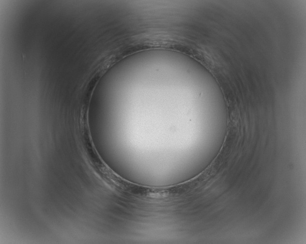 X0000075830744200609150845