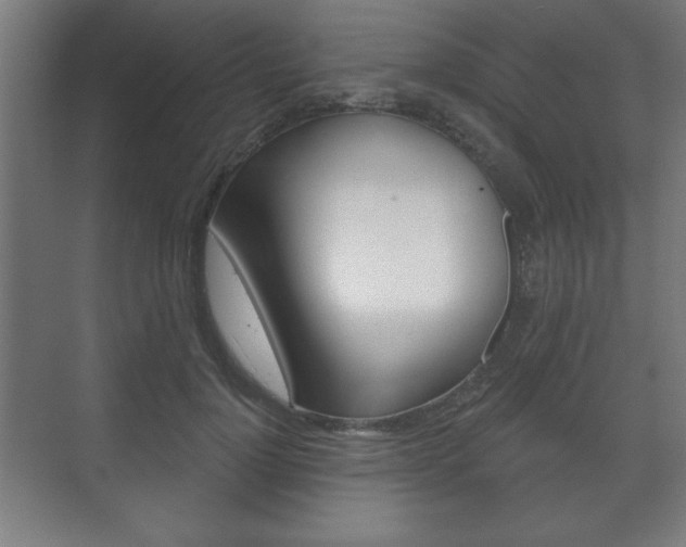 X0000075830748200609150845