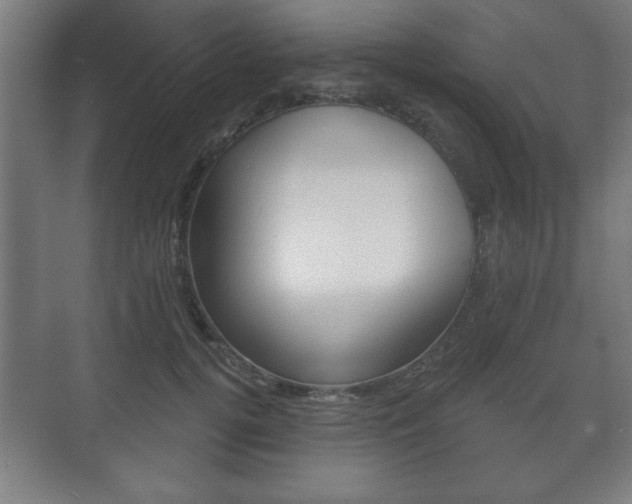 X0000075830752200609150845