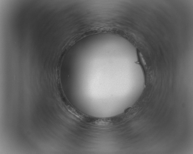 X0000075830756200609150845