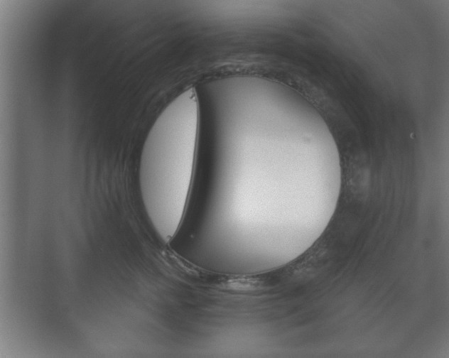 X0000075830758200609150845