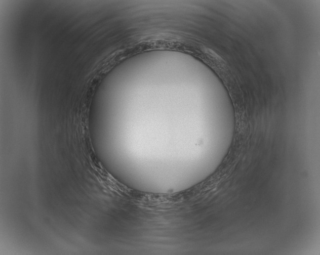 X0000075830774200609150845