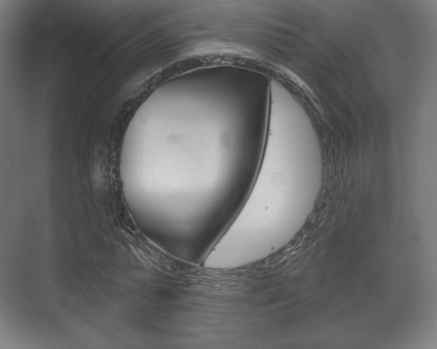 X0000075830775200609150845