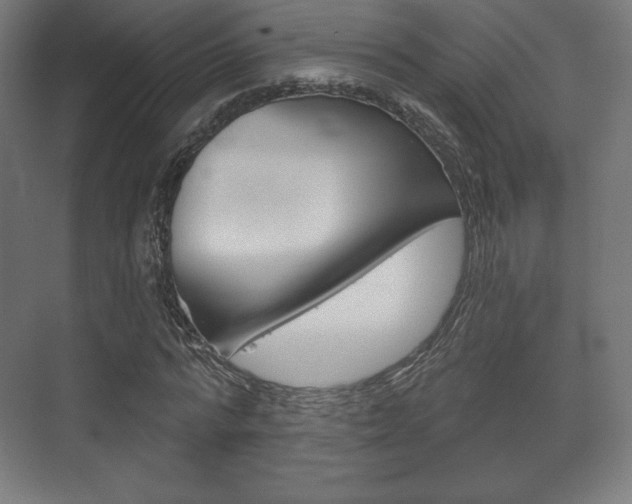 X0000075830776200609150845