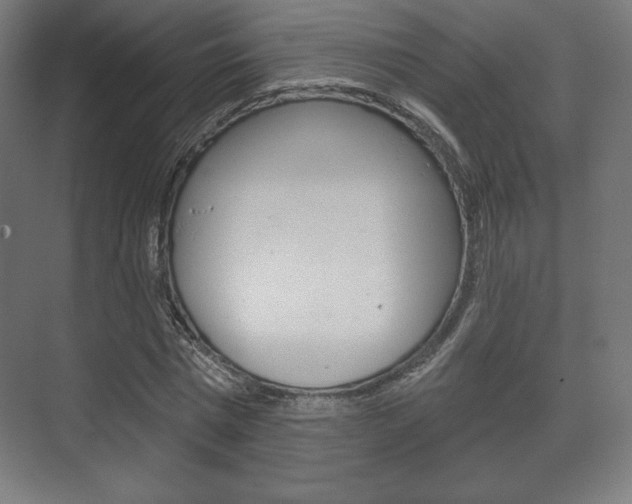 X0000075830777200609150845