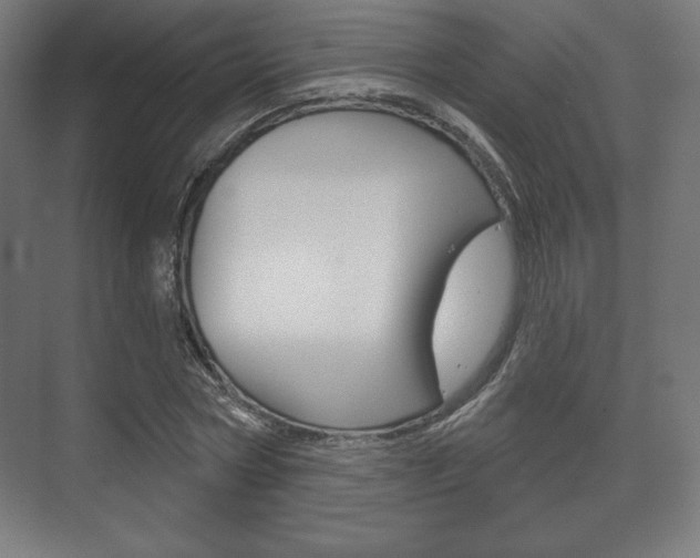 X0000075830778200609150845