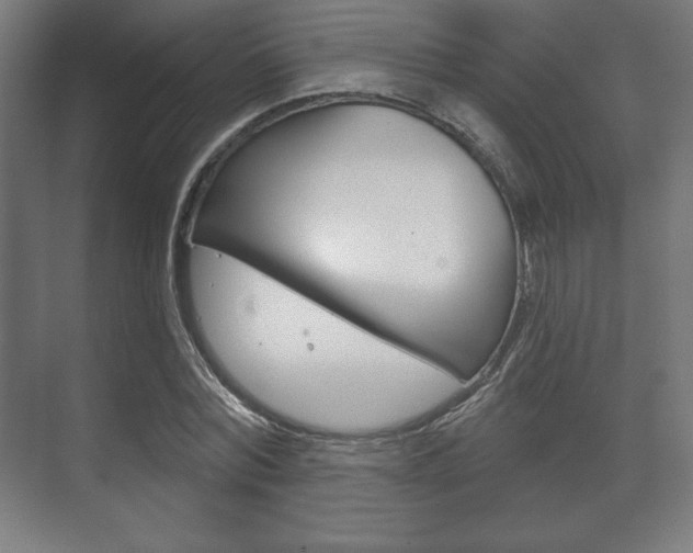 X0000075830780200609150845