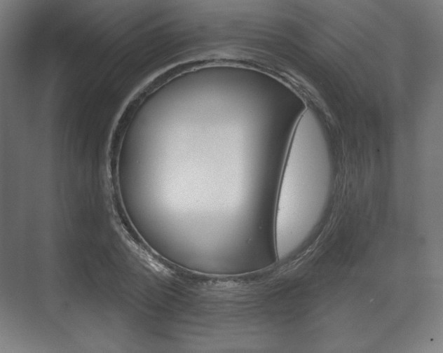 X0000075830784200609150845