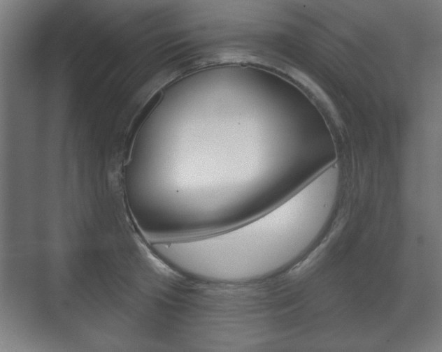 X0000075830801200609150844