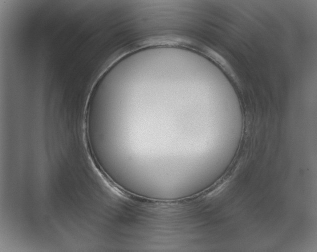 X0000075830802200609150844