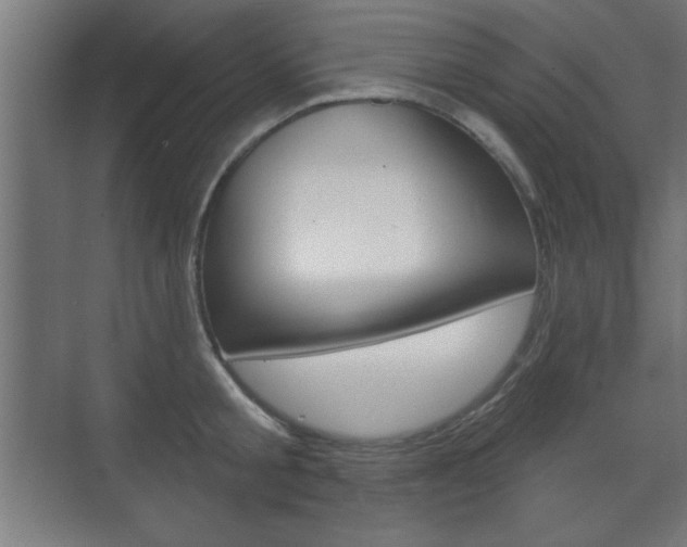 X0000075830805200609150844