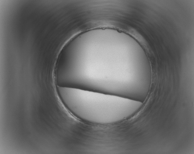 X0000075830806200609150844
