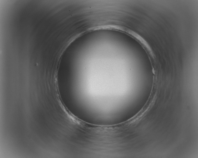 X0000075830809200609150844