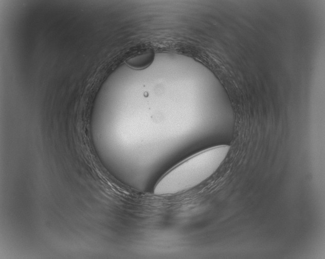 X0000075830817200609150843