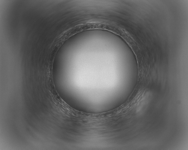 X0000075830821200609150843