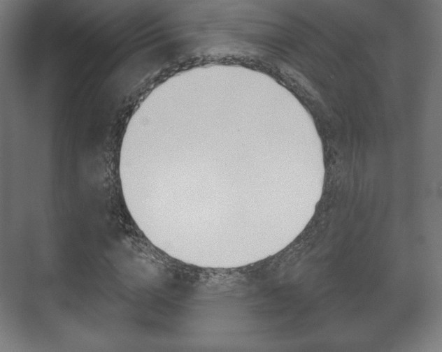 X0000075830824200609150843