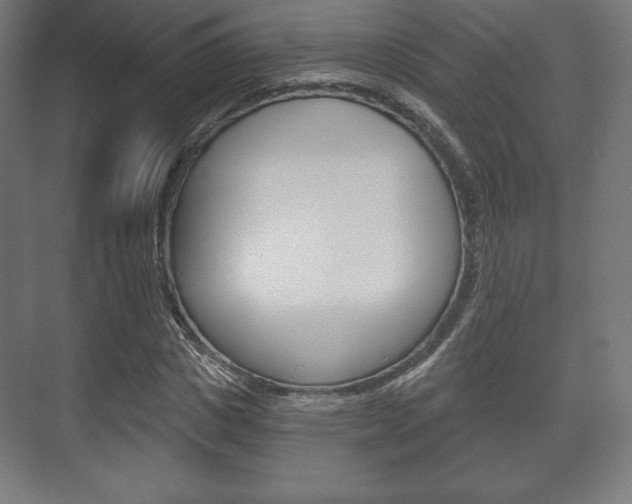 X0000075830825200609150843