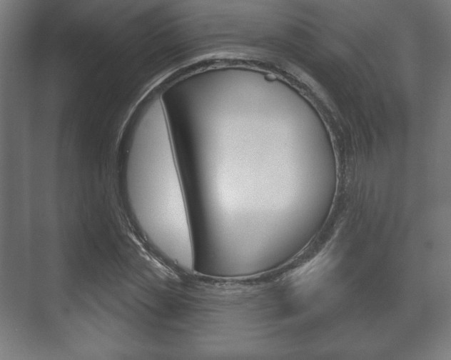 X0000075830829200609150843
