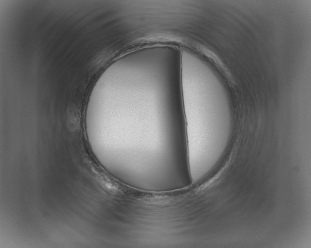 X0000075830833200609150844