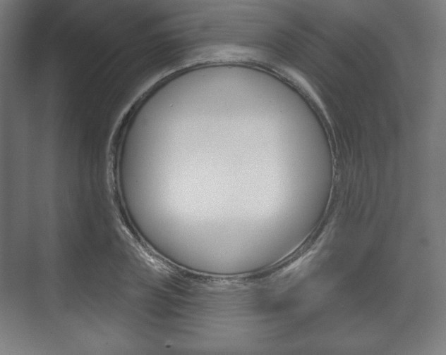 X0000075830835200609150844
