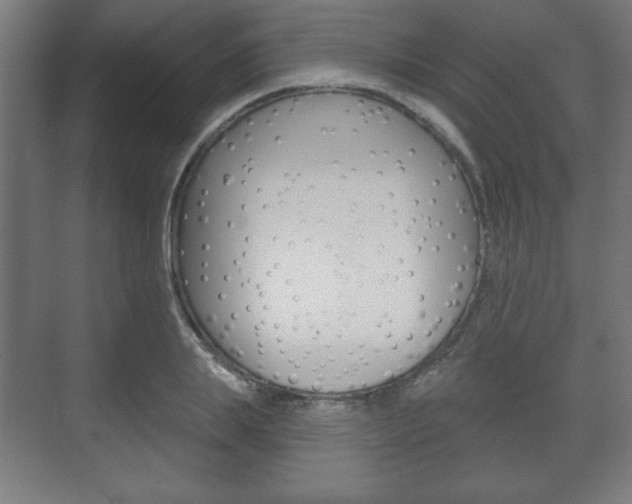 X0000075830839200609150844