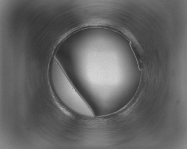 X0000075830842200609150844