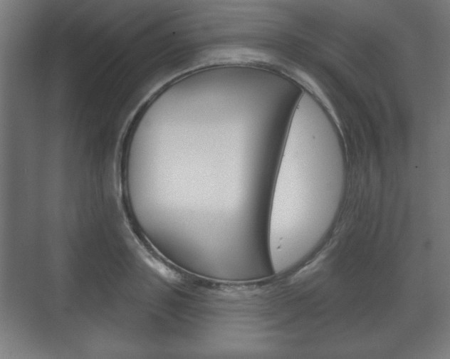 X0000075830843200609150844