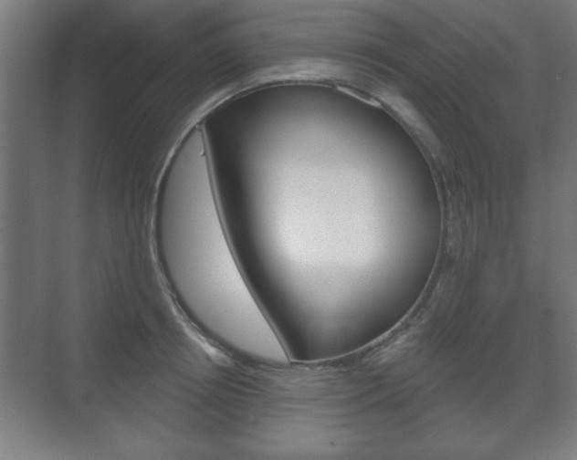 X0000075830850200609150844