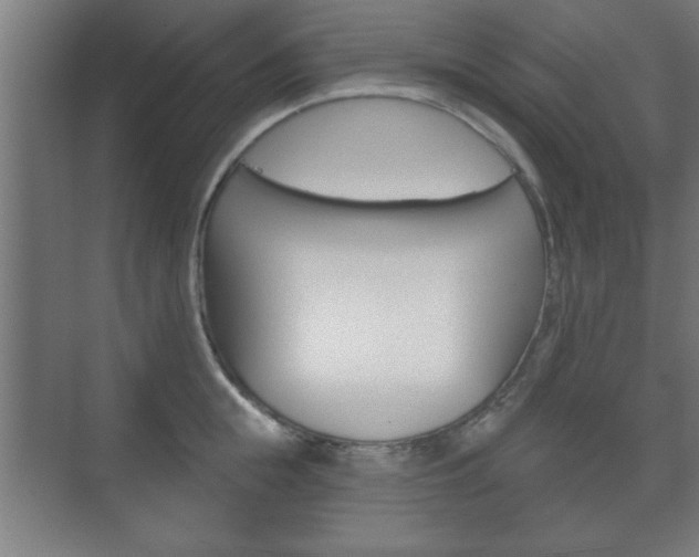 X0000075830855200609150844
