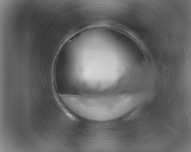 X0000075830858200609150844