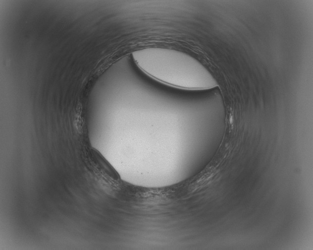 X0000075830867200609150843