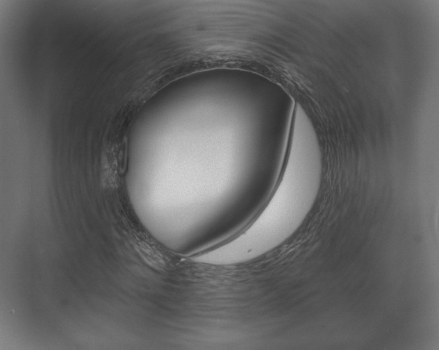X0000075830868200609150843